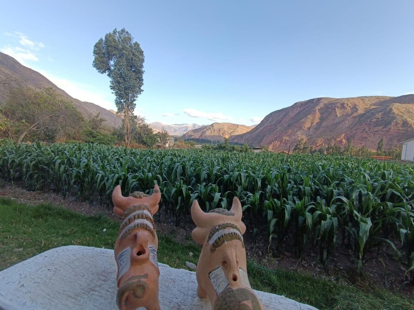 Casa Yanahuara Valle Sagrado - Урубамба Экстерьер фото